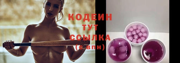 стафф Няндома