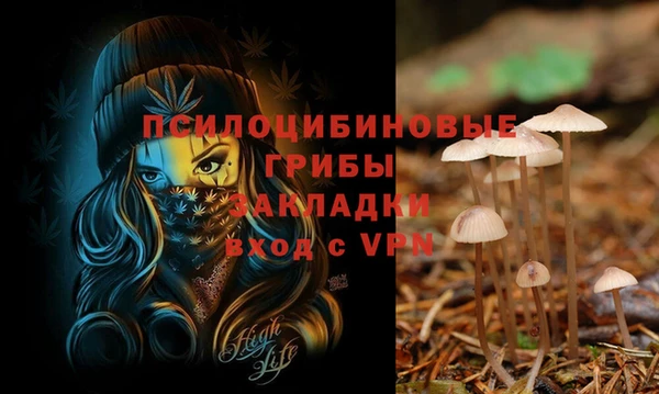 таблы Абинск