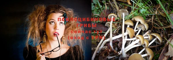 спайс Алексин