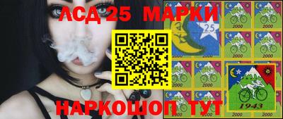 индика Тверь