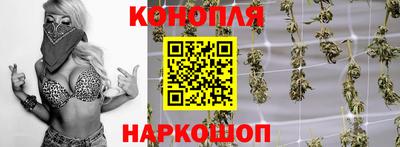 индика Тверь