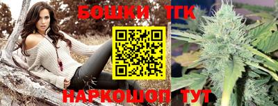 индика Тверь