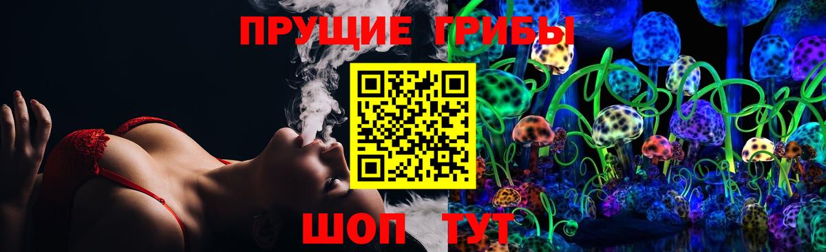 Псилоцибиновые грибы GOLDEN TEACHER Ростов-на-Дону
